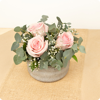 Arreglo Terciopelo de rosa — rosas, gypsophila y eucalipto