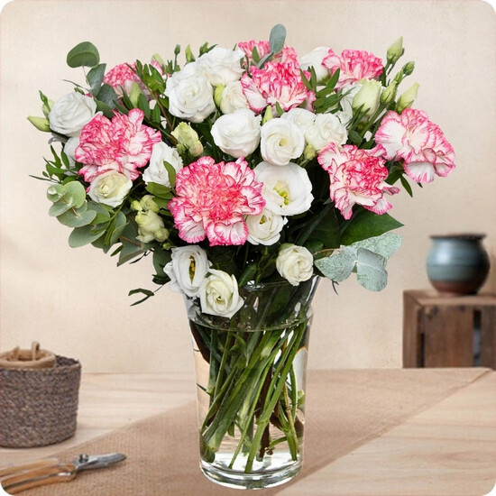 Ramo Buen Día — claveles bicolor rosa y blanco 1