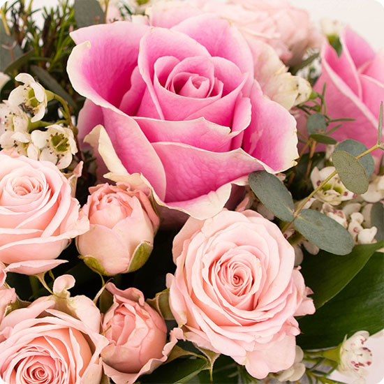 Arreglo Rosa — rosas rosas, wax blanco y eucalipto 3