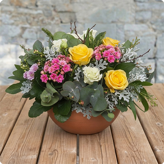 Coupe de plantes Horizon de Paix 1