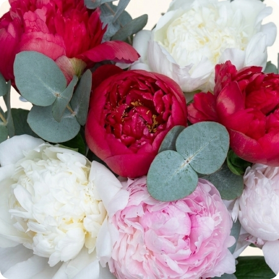 Ramo Paleta de peonías — rosas y blancas 3