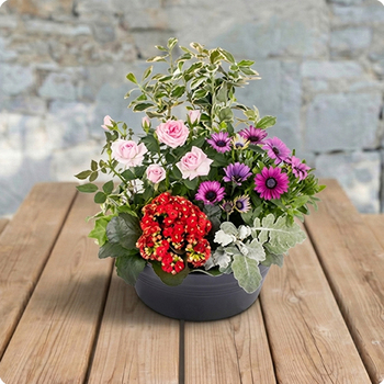 Arrangement Espérance
