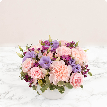 Arrangement Douceur Éternelle