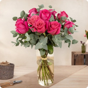 Ramo de rosas Fucsias